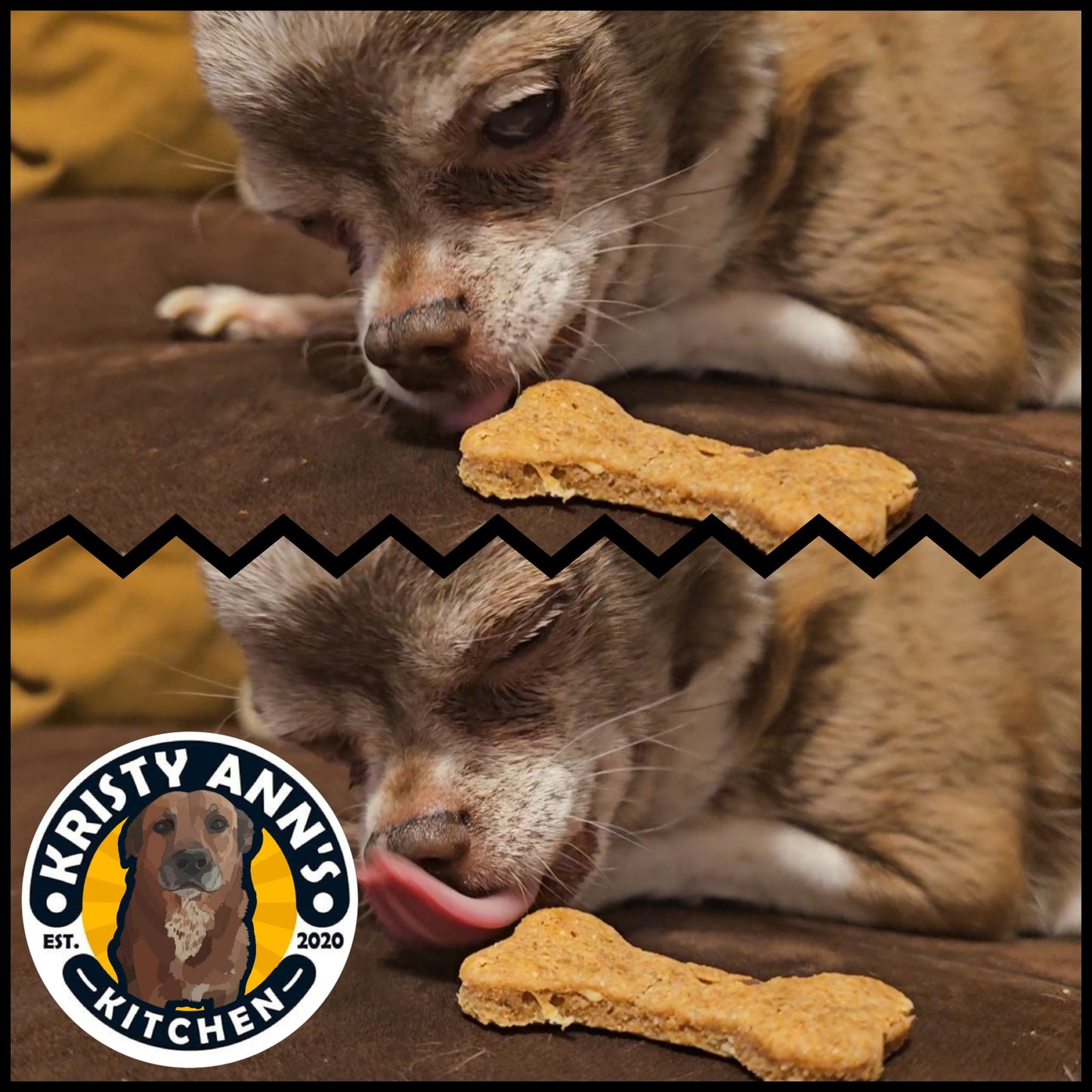 Kristyann's Kitchen Dog Treats: Peanut Butter Bacon Bones